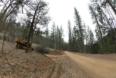 DSC_0054 (Large).JPG